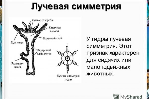 Как зайти на кракен без тора
