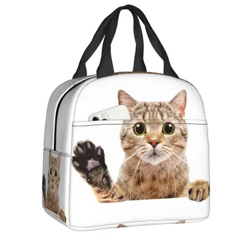 Милая шотландская кошачья сумка для ланча, Герметичная, для пикника, Изолированная, Теплый Кулер, Термальный Ланч-бокс Для женщин, Детский контейнер-тоут