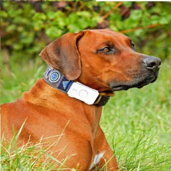 ошейники для домашних собак, GPS-трекер, установка гео-ограждения, 4G тренажер для домашних животных RYDLK105B